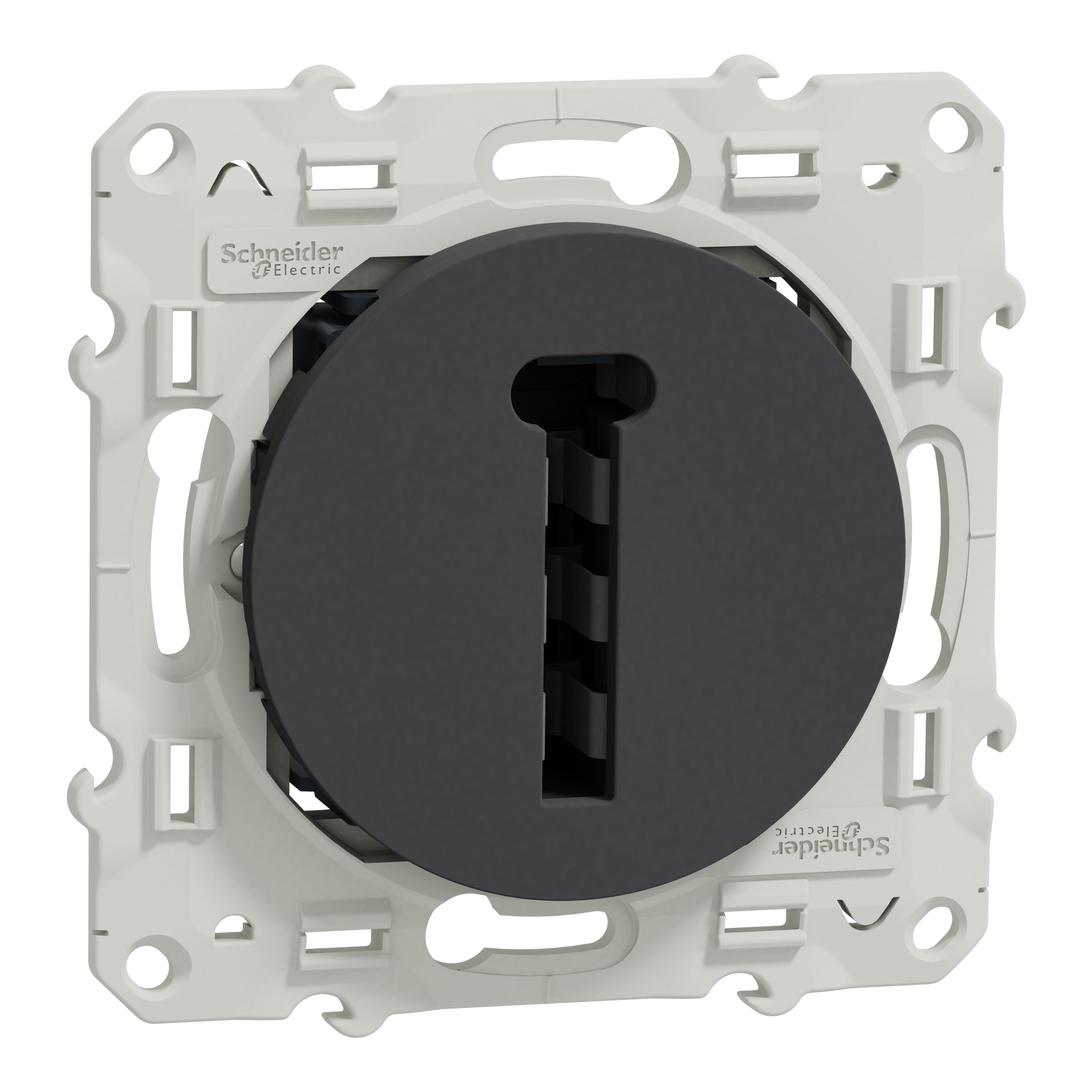 S540496, Schneider Electric
