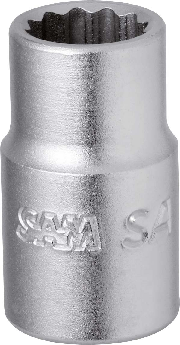SA-31, SAM