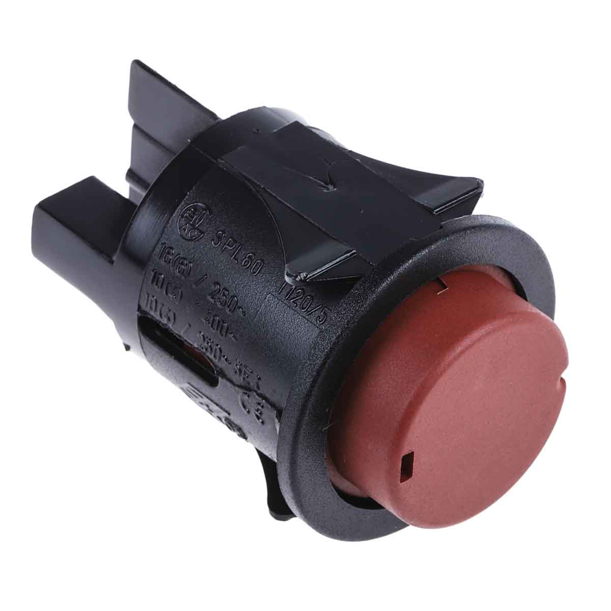 SP6014C100000, Molveno