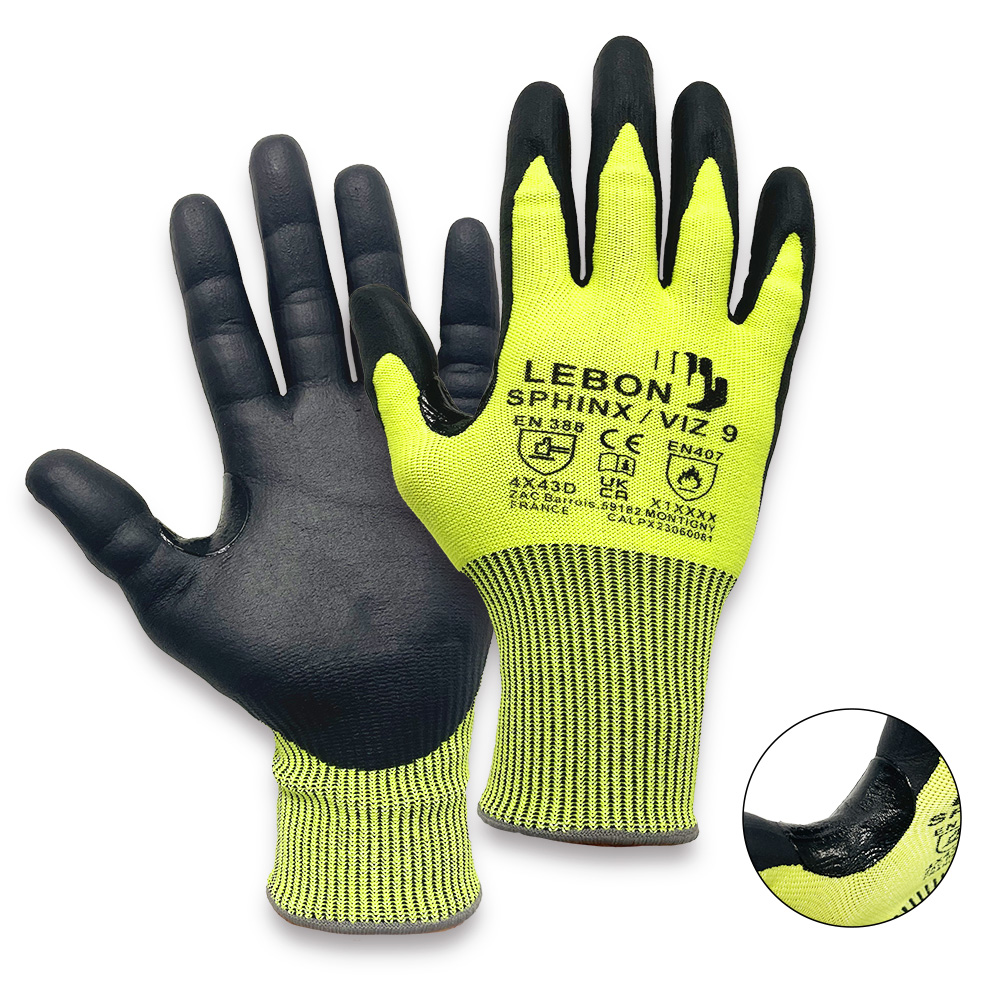 SPHINX/VIZ/10, Lebon Protection