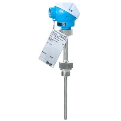 TM101-AACCA1GA0A1A1, Endress+Hauser