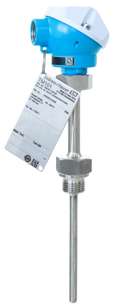 TM101-AACCA6GC1A1A1, Endress+Hauser