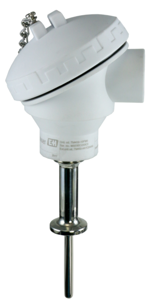 TM402-AA2C2A3A310AW1B, Endress+Hauser