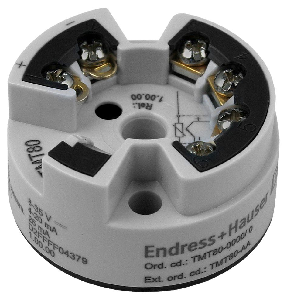 TMT80-1628/115, Endress+Hauser