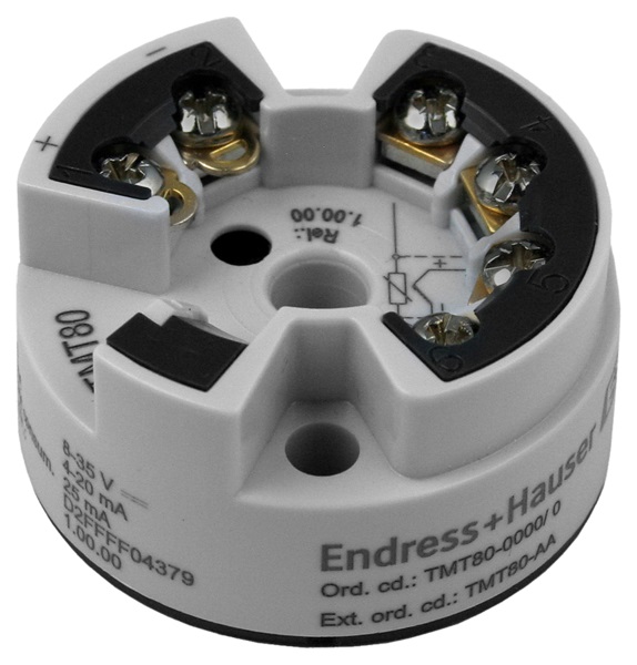 TMT80-1628/125, Endress+Hauser