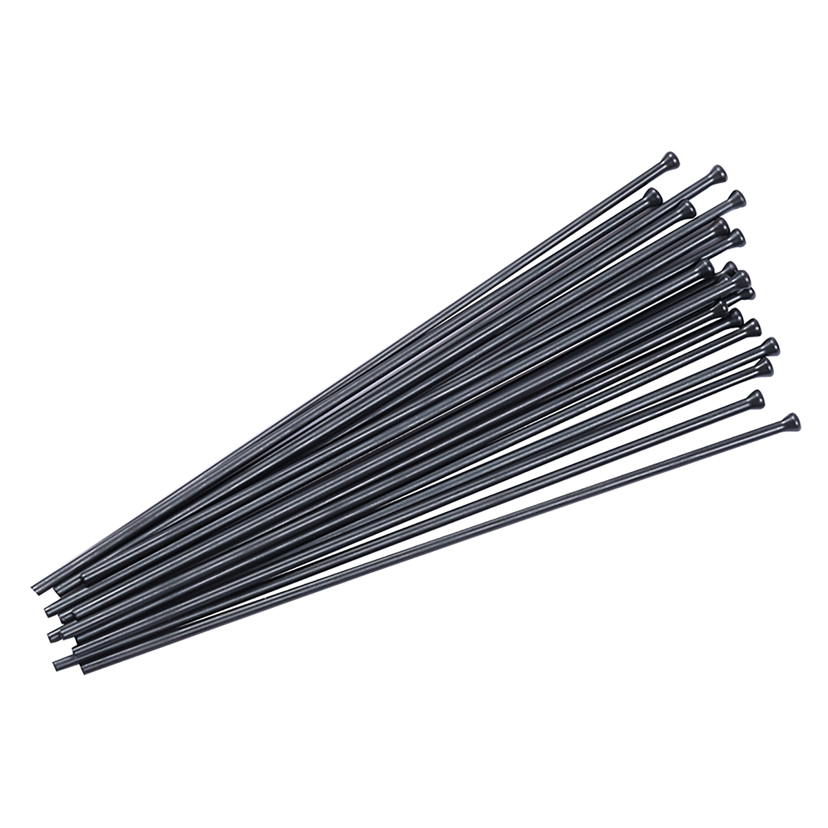 TSP 19X3, PREVOST