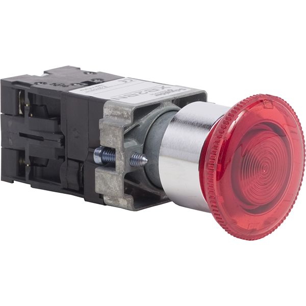 XB2BN4161, Schneider Electric