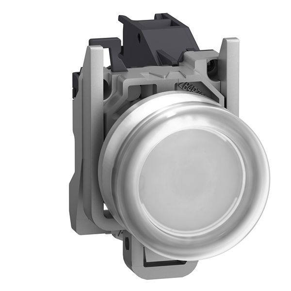 XB4BP181GEX, Schneider Electric