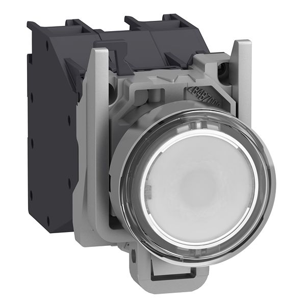 XB4BP183BM5GEX, Schneider Electric