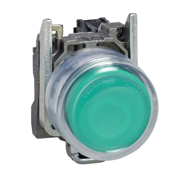 XB4BP383BG5EX, Schneider Electric