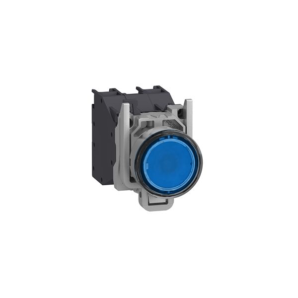 XB4BP683BM5GEX, Schneider Electric