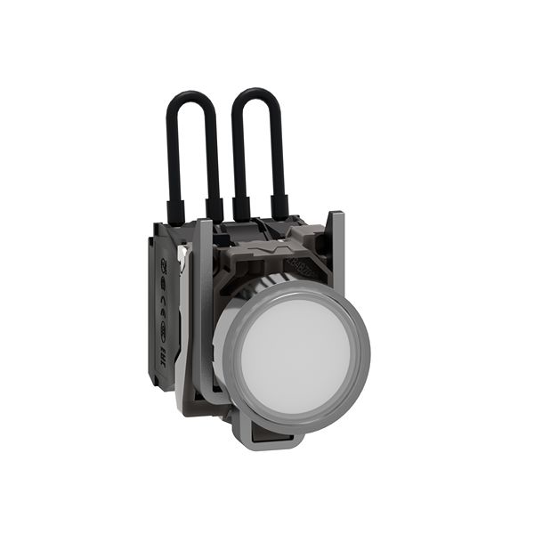 XB4BW21G5, Schneider Electric