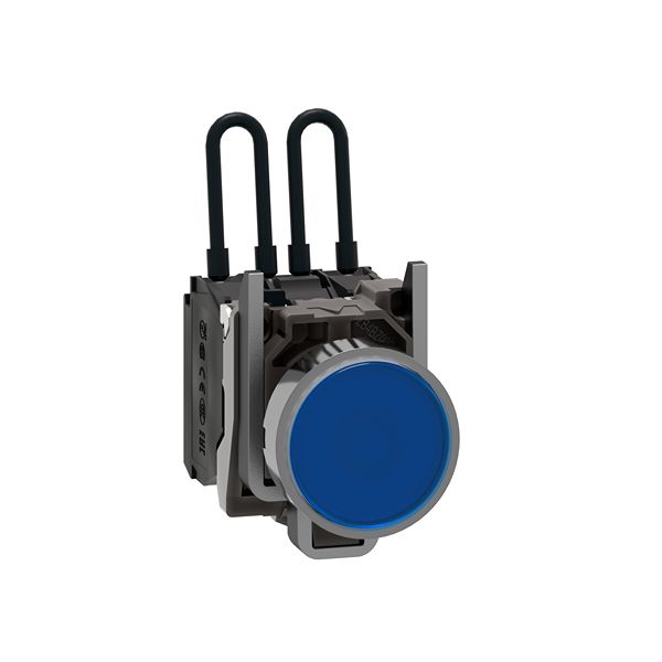 XB4BW26B5, Schneider Electric