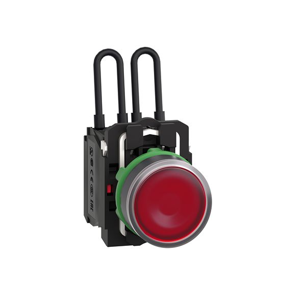 XB5AW24B5, Schneider Electric