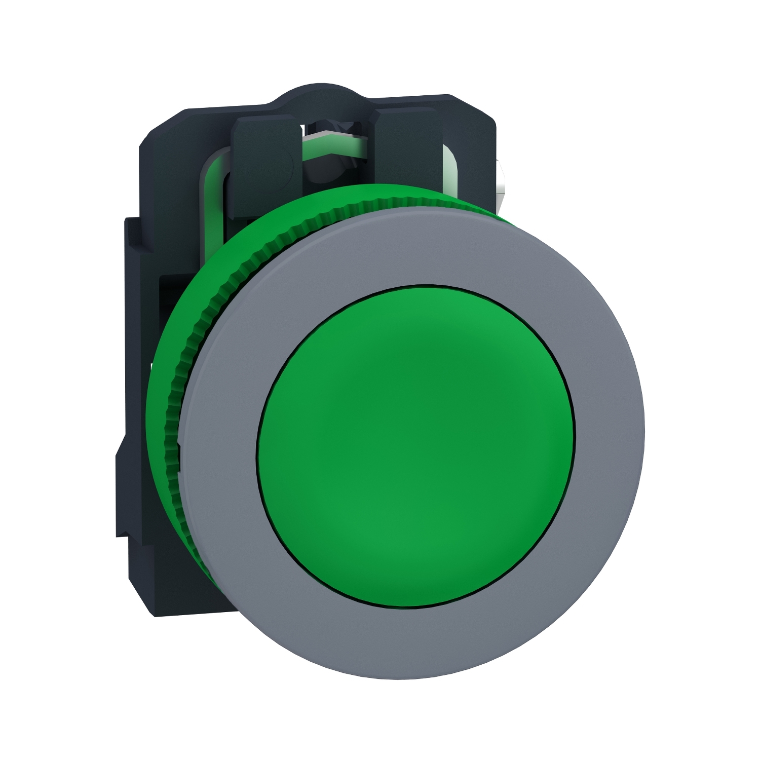 XB5FA31C0, Schneider Electric