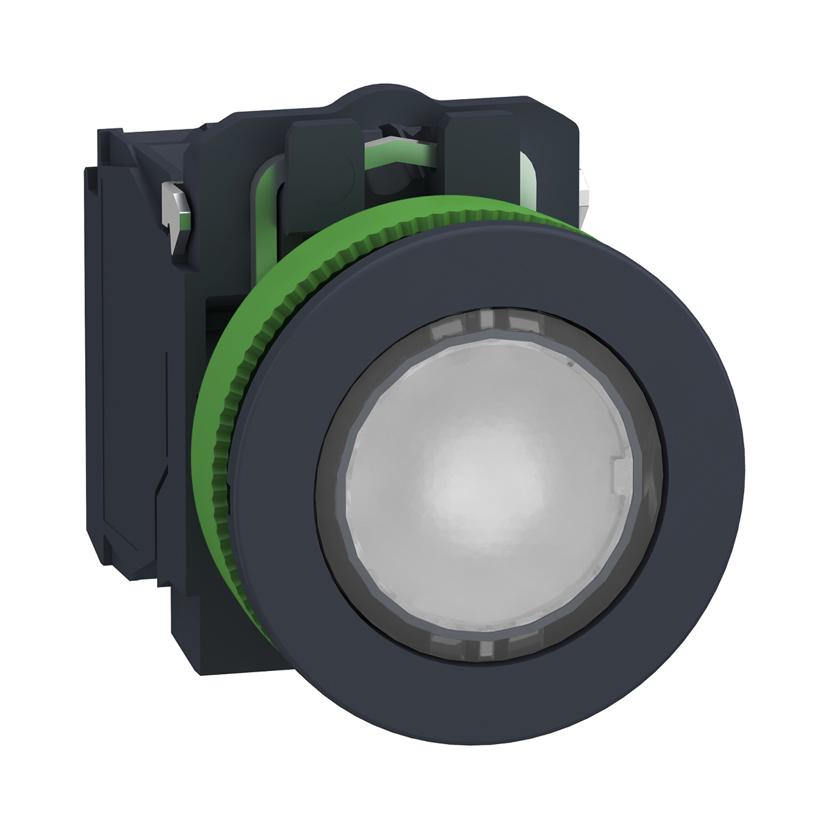 XB5FW31B5, Schneider Electric