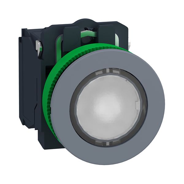 XB5FW31M5C0, Schneider Electric