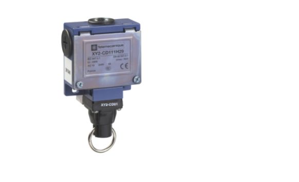 XY2CD111H29, Telemecanique Sensors
