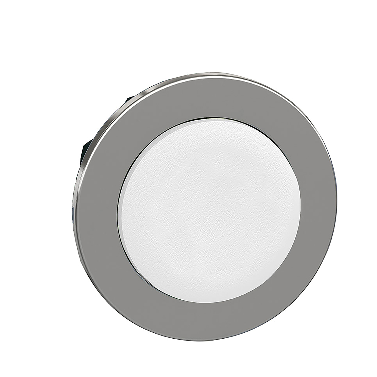 ZB4FL1, Schneider Electric